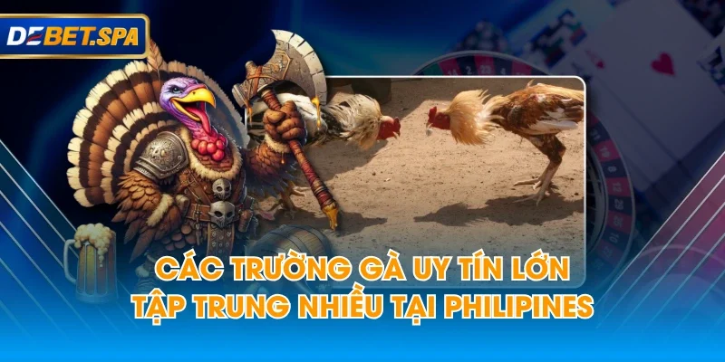 Các trường gà uy tín lớn tập trung nhiều tại Philipines Các trường gà uy tín lớn tập trung nhiều tại Philipines