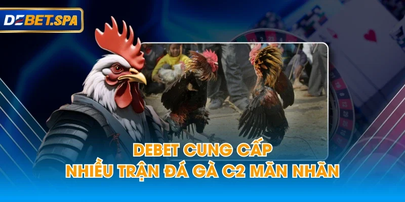 DEBET cung cấp nhiều trận đá gà C2 mãn nhãn