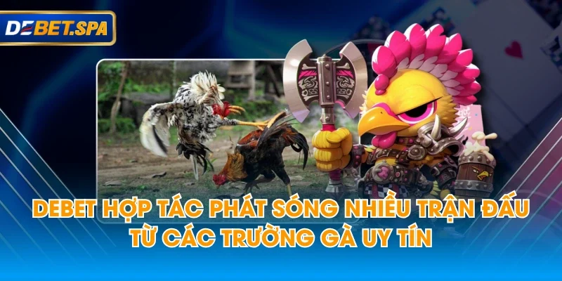 DEBET hợp tác phát sóng nhiều trận đấu từ các trường gà uy tín DEBET hợp tác phát sóng nhiều trận đấu từ các trường gà uy tín