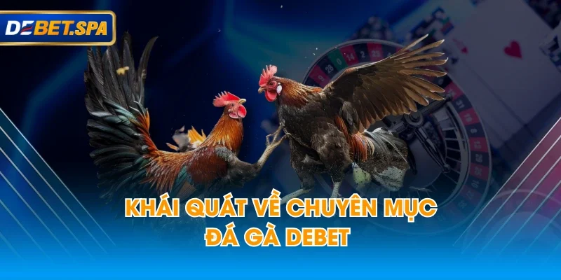 Khái quát về chuyên mục đá gà DEBET Khái quát về chuyên mục đá gà DEBET