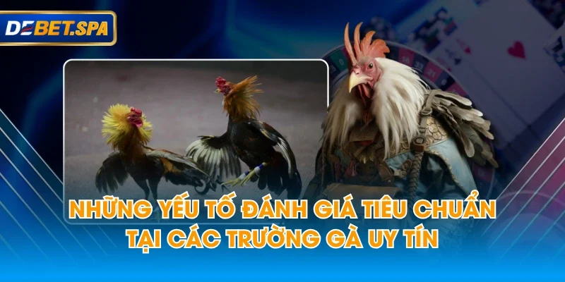 Những yếu tố đánh giá tiêu chuẩn tại các trường gà uy tín Những yếu tố đánh giá tiêu chuẩn tại các trường gà uy tín