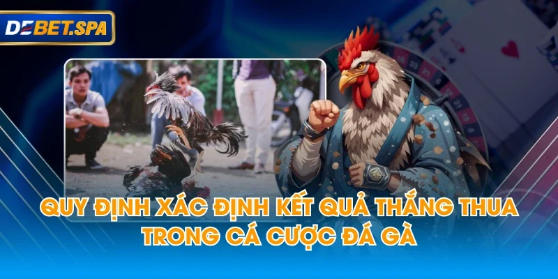 Quy định xác định kết quả thắng thua trong cá cược đá gà Quy định xác định kết quả thắng thua trong cá cược đá gà