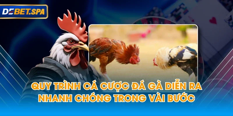 Quy trình cá cược đá gà diễn ra nhanh chóng trong vài bước