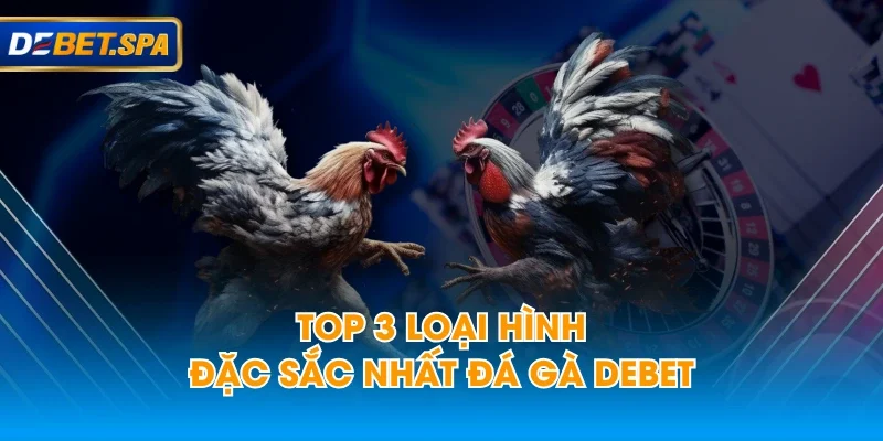 Top 3 loại hình đặc sắc nhất đá gà DEBET Top 3 loại hình đặc sắc nhất đá gà DEBET