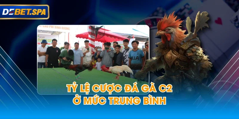 Tỷ lệ cược đá gà C2 ở mức trung bình Tỷ lệ cược đá gà C2 ở mức trung bình